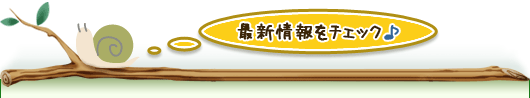 インフォメーション