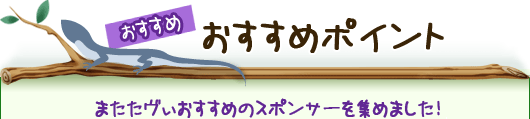 おすすめ