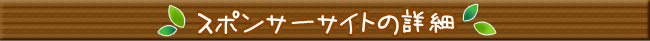 スポンサー詳細